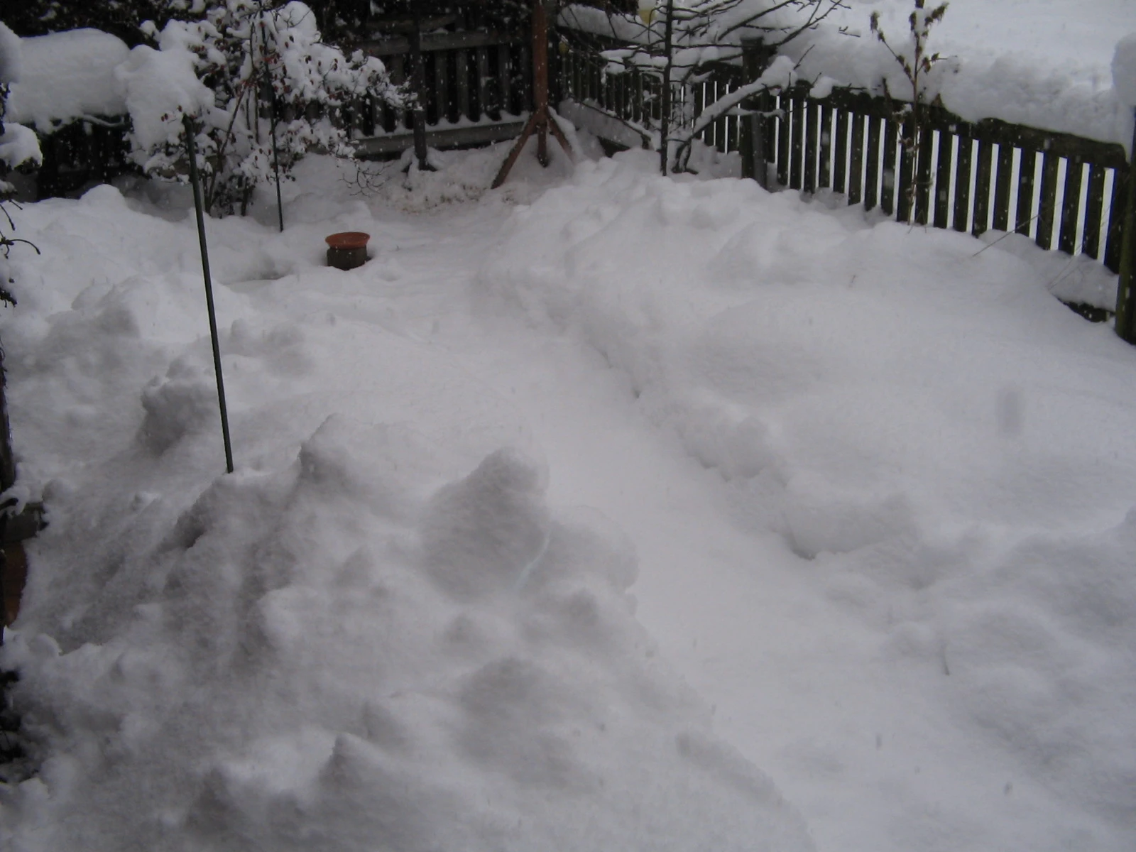 IMG_3087.webp
