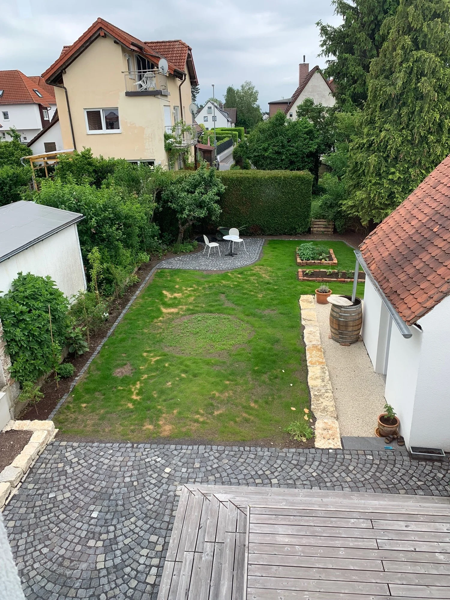 Frisch gesäter Rasen wird gelb...Düngen?