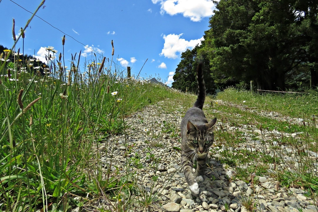 IMG_3539 v (2).webp