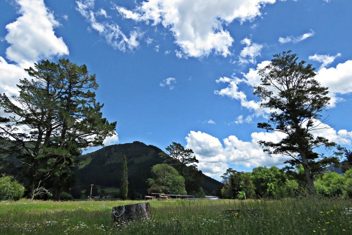 IMG_3541 v (2).webp