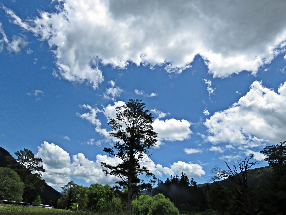 IMG_3542 v (2).webp