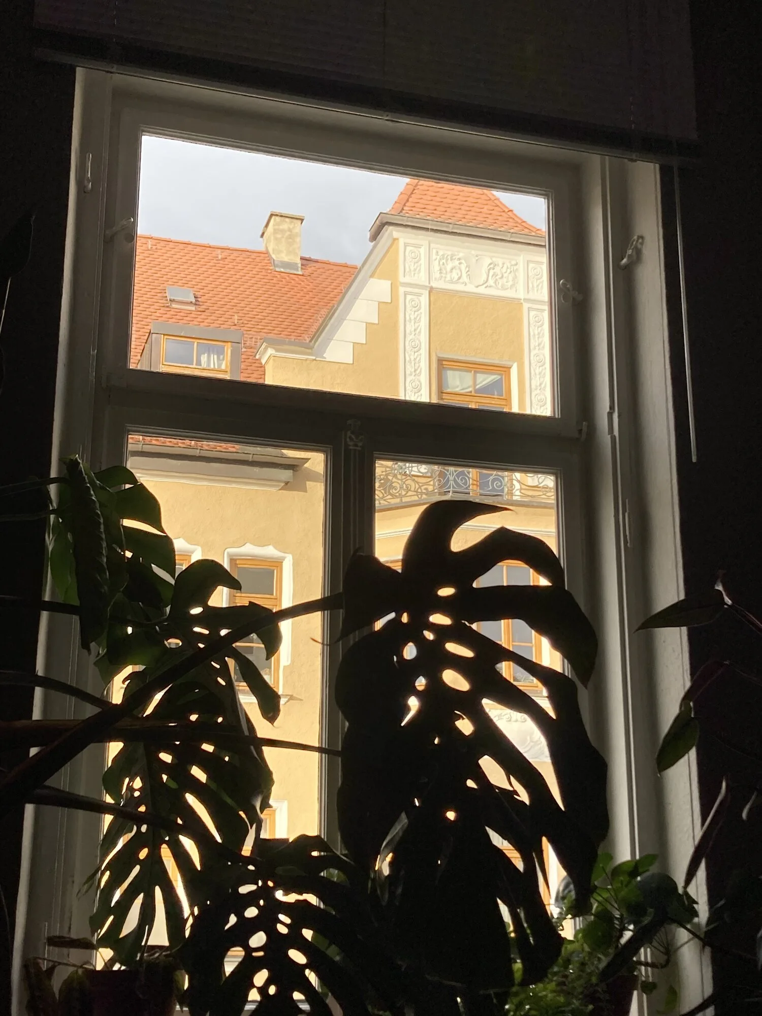 IMG_3572.jpeg