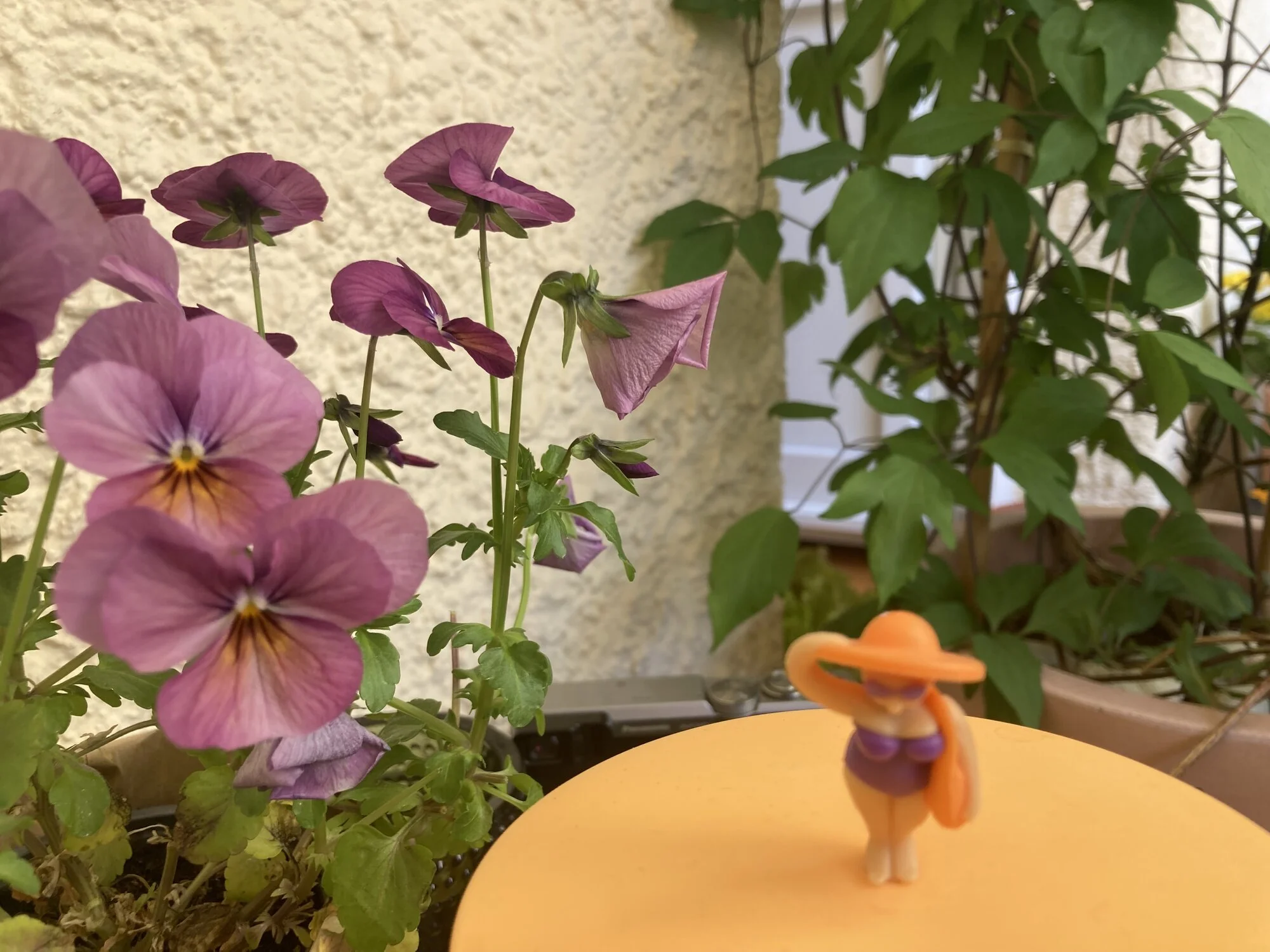 IMG_3794.jpeg