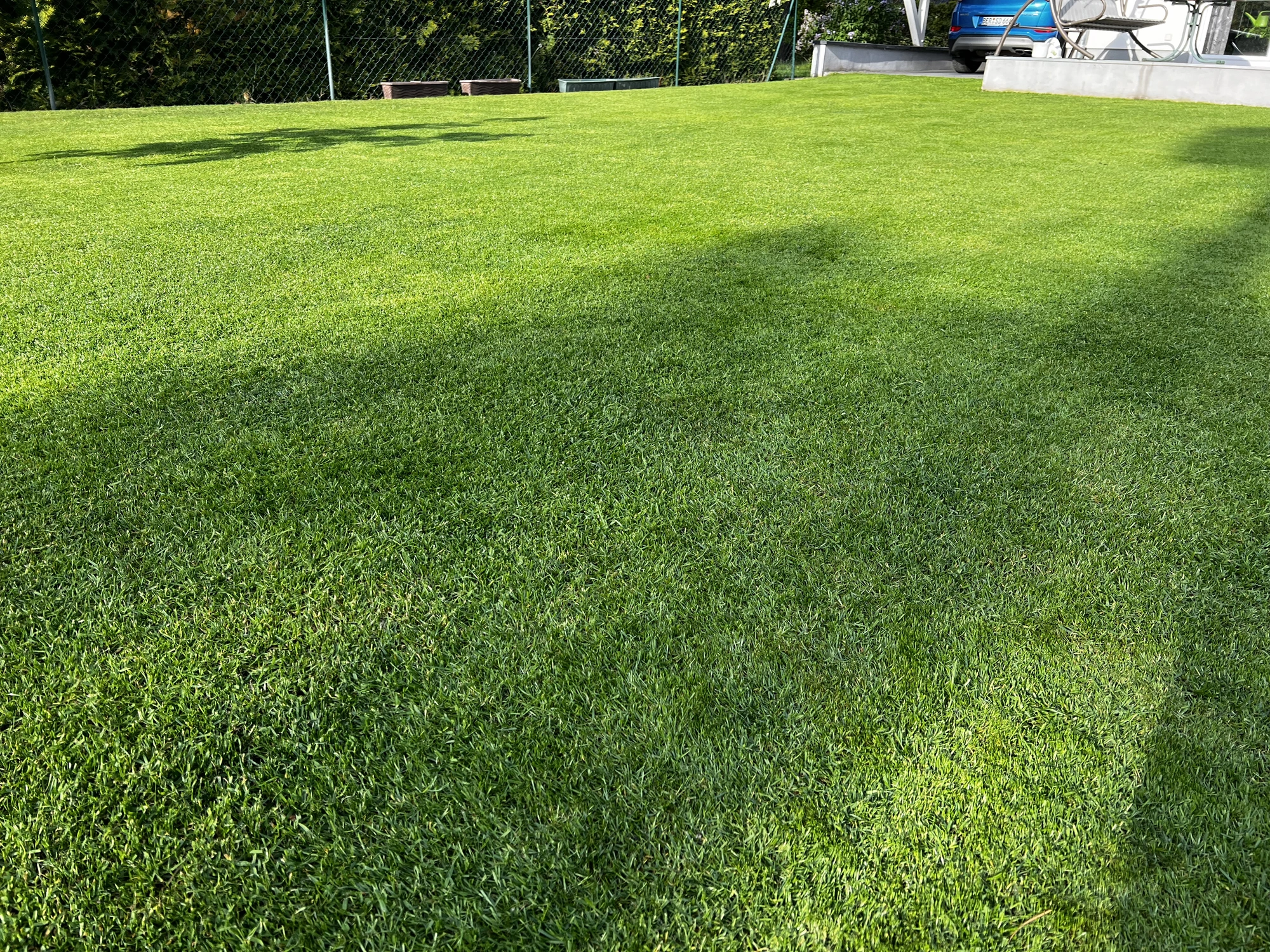 IMG_4048.webp