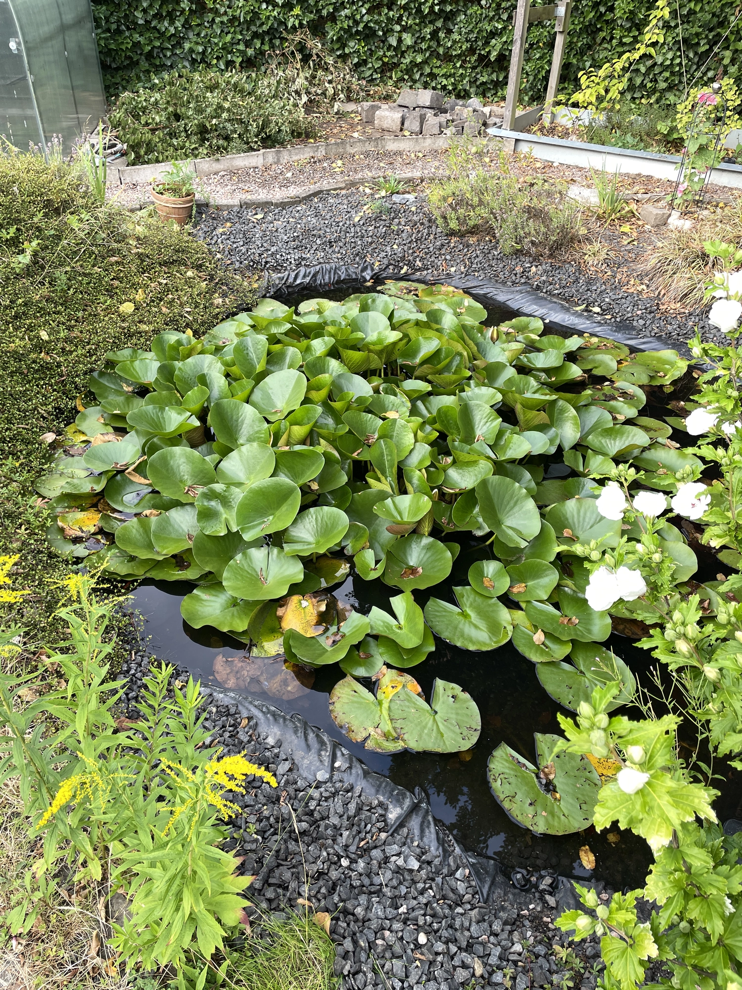 IMG_4095.webp