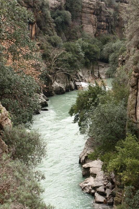 IMG_4113.webp