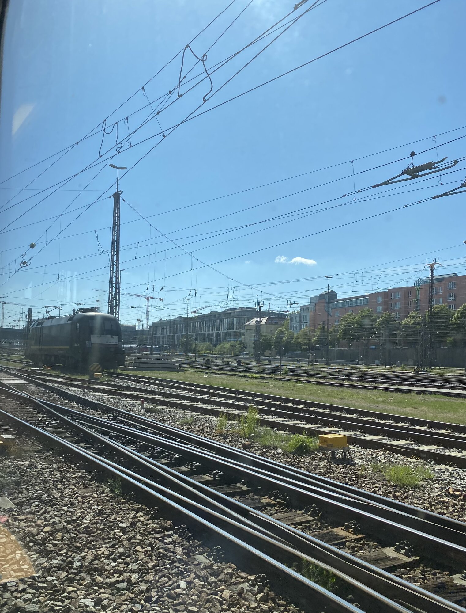 IMG_4124.jpeg