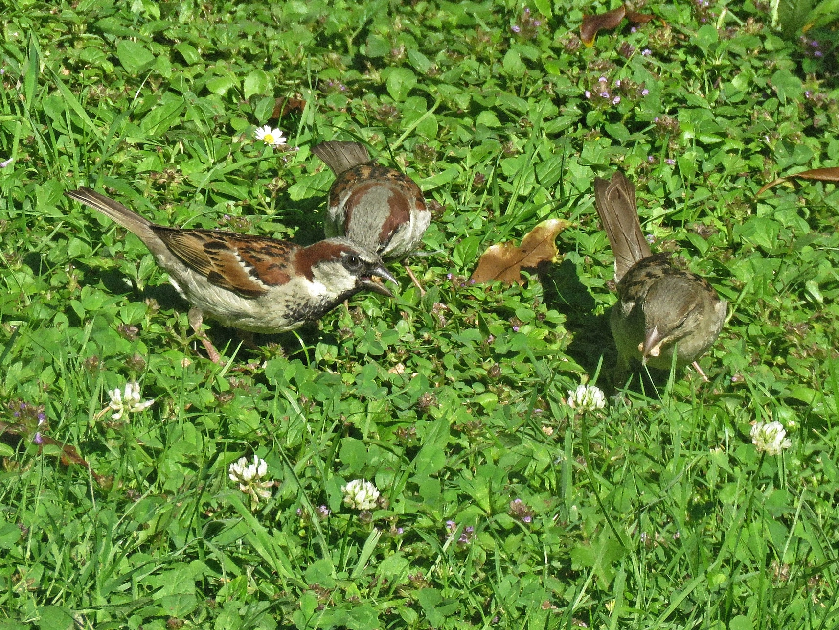 IMG_4228 v (2).webp