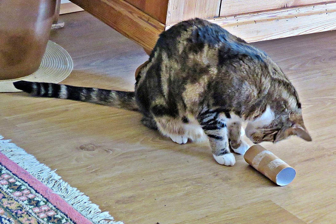 IMG_4261 - Copy.webp