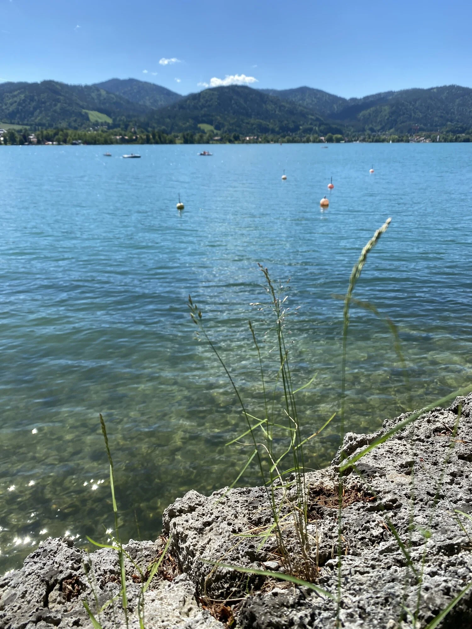 IMG_4408.jpeg