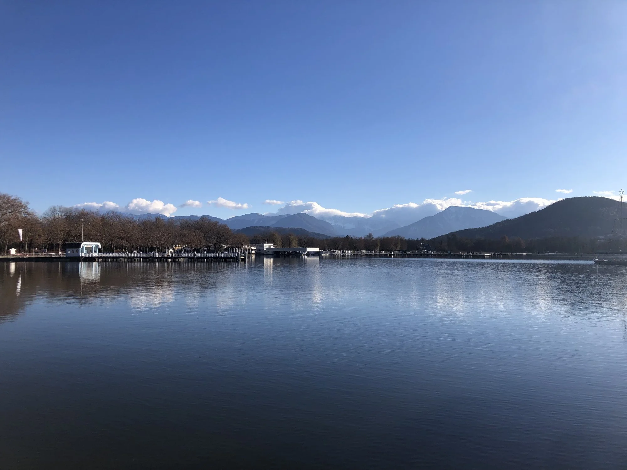 IMG_4429.jpeg