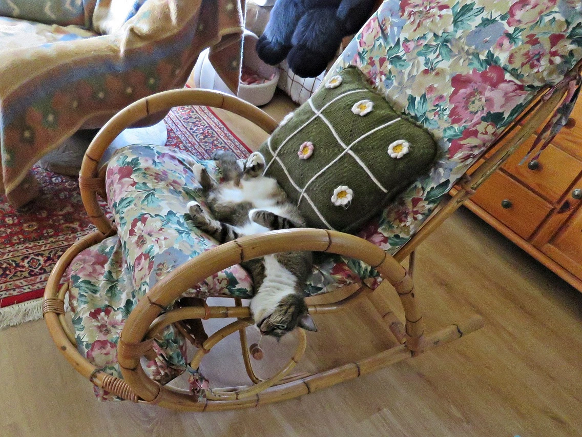 IMG_4512 v (2).webp