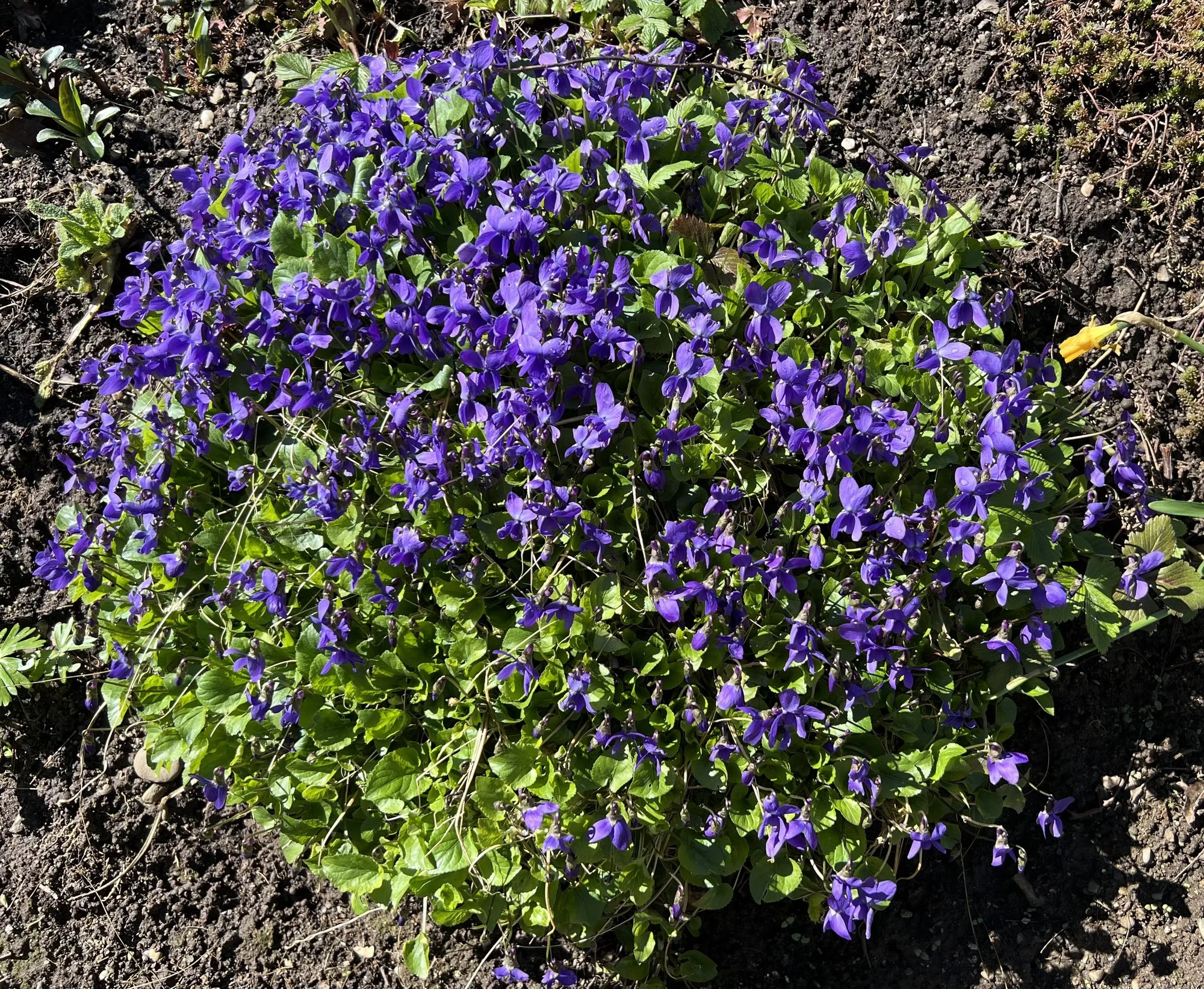 IMG_4808.webp