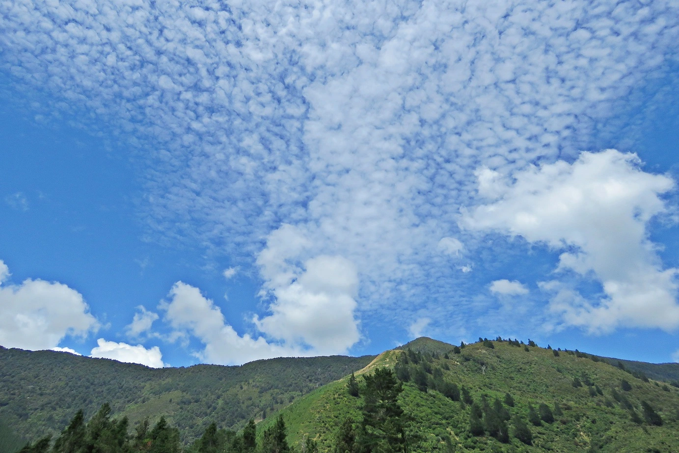 IMG_4827 v(2).webp