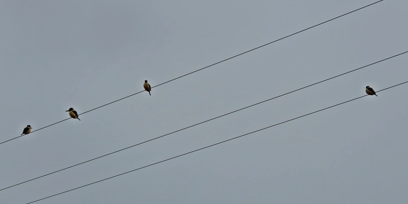 IMG_4838 - Copy.JPG