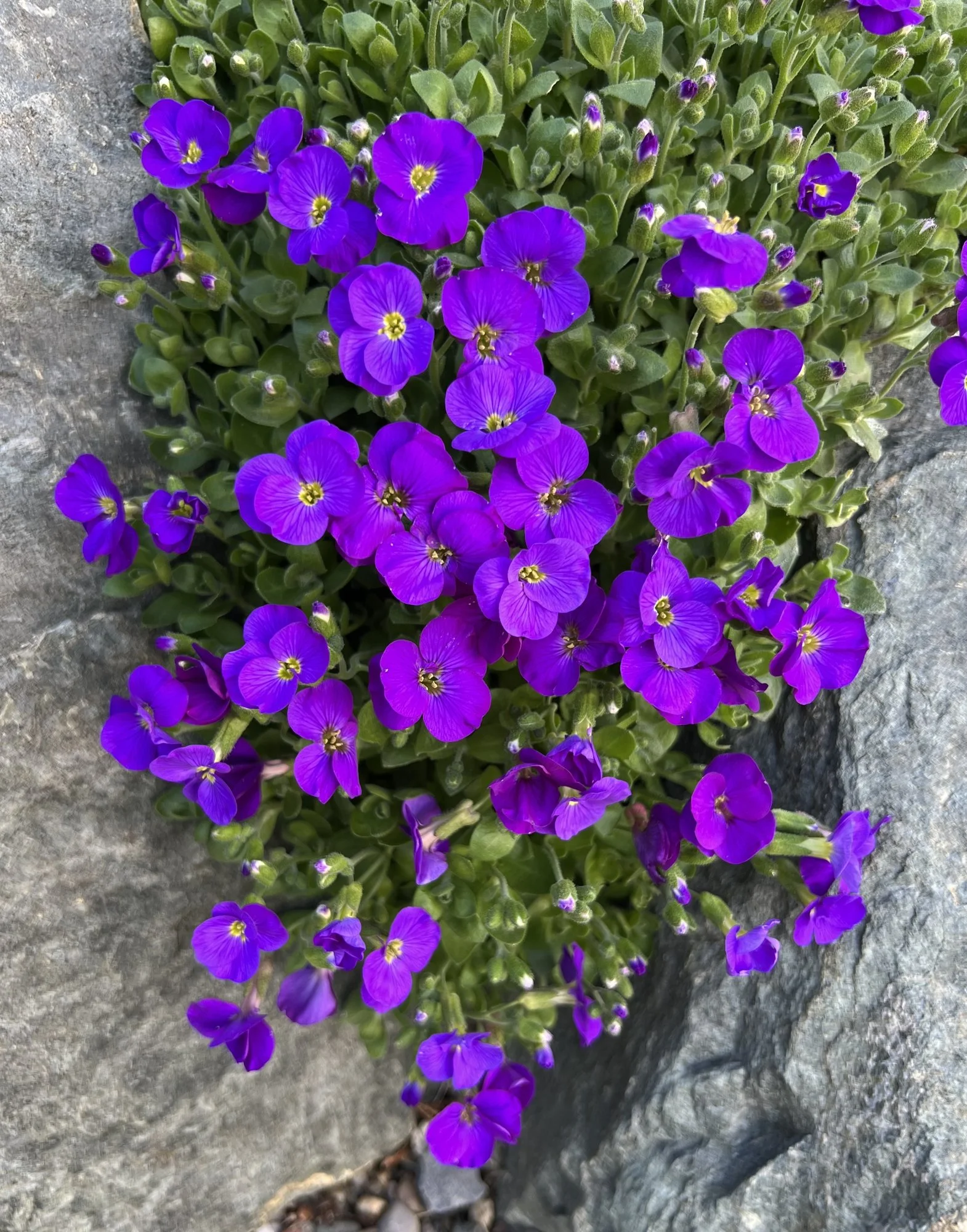 IMG_4862.webp