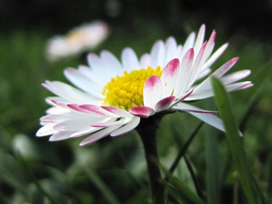 IMG_5077_1 v (2).webp