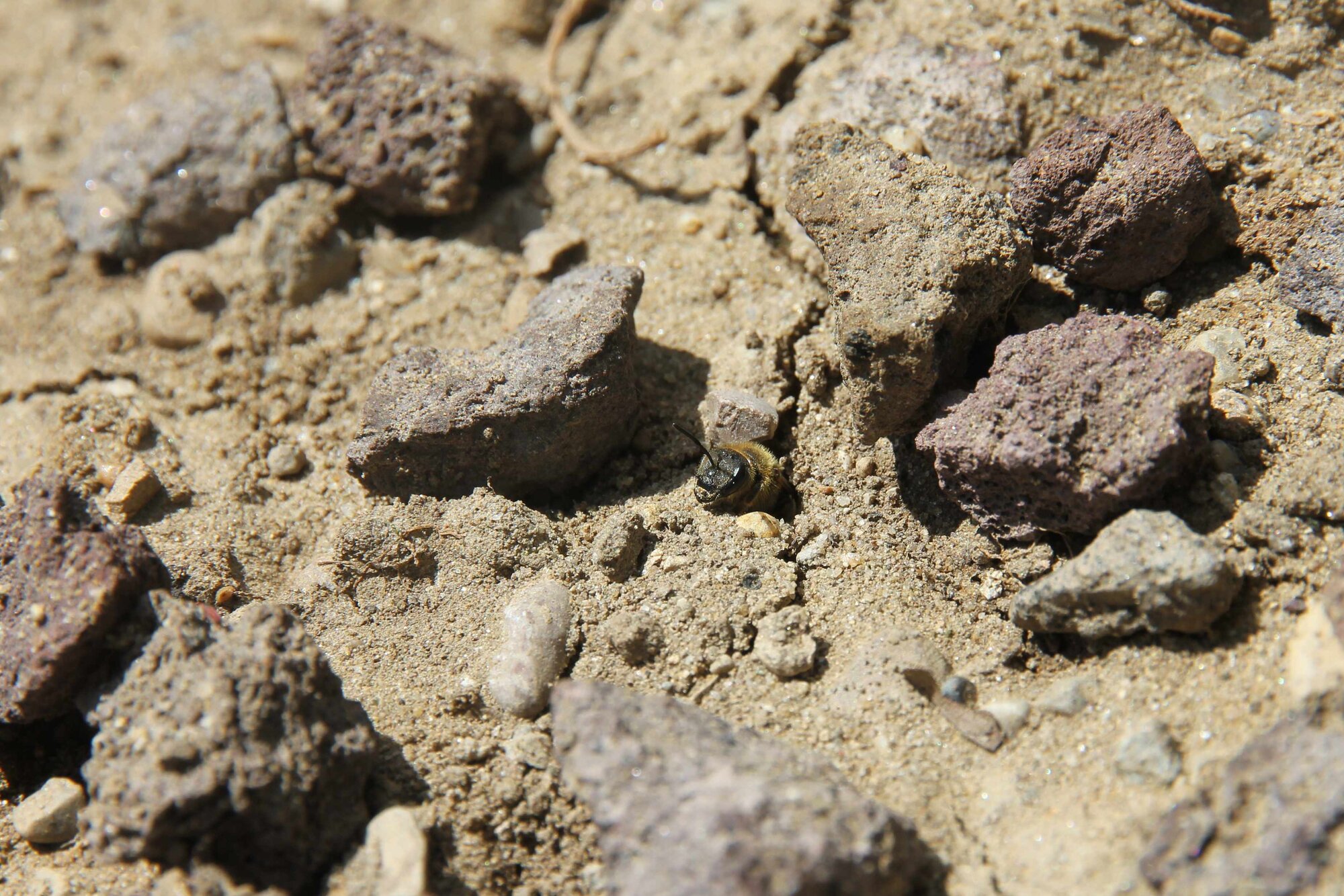 IMG_5140.JPG