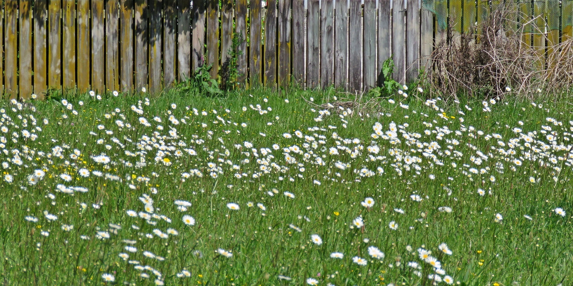 IMG_5206 v (2).webp