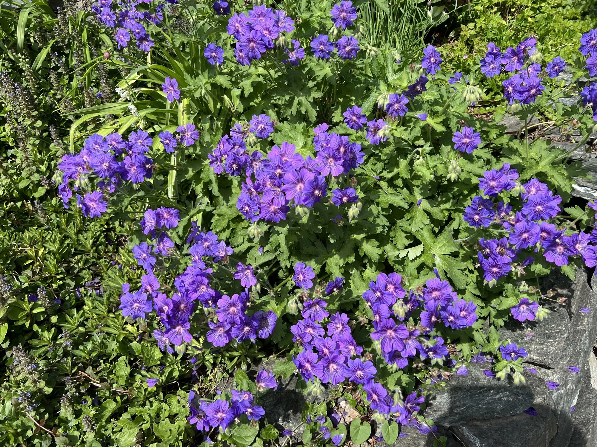 IMG_5207.webp