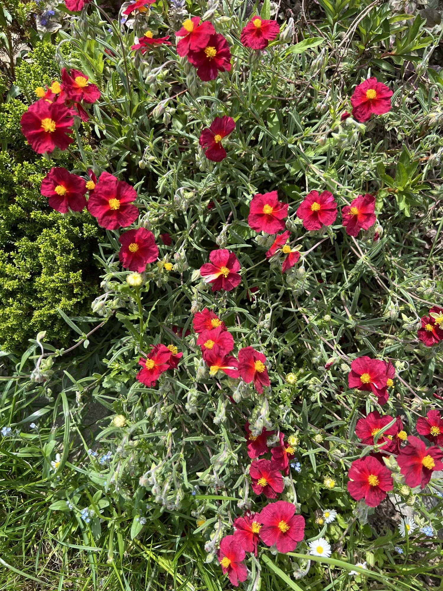 IMG_5212.webp
