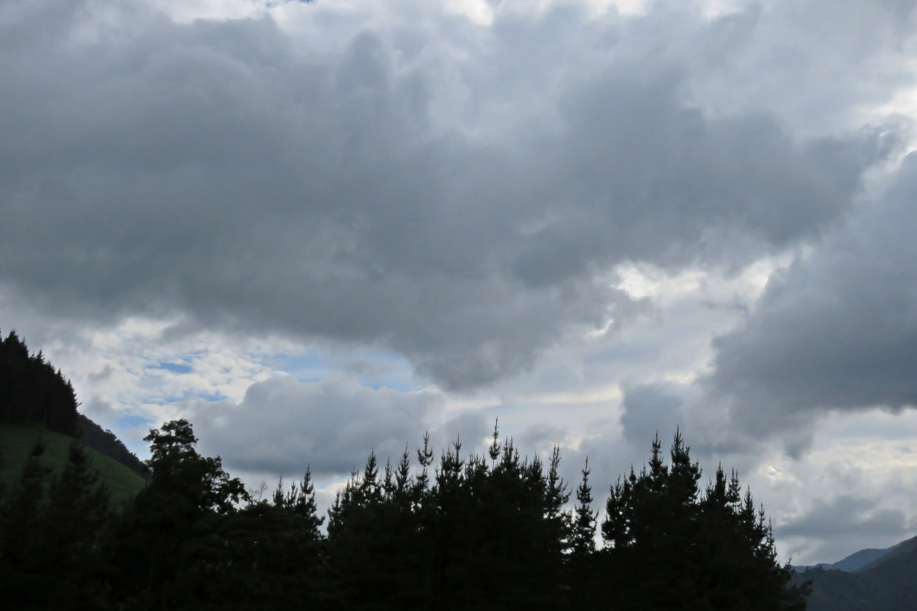 IMG_5215v (2).webp