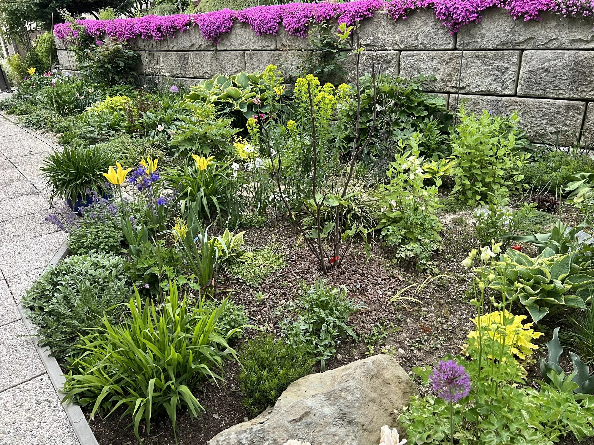 IMG_5222.jpeg IMG_5222.jpeg