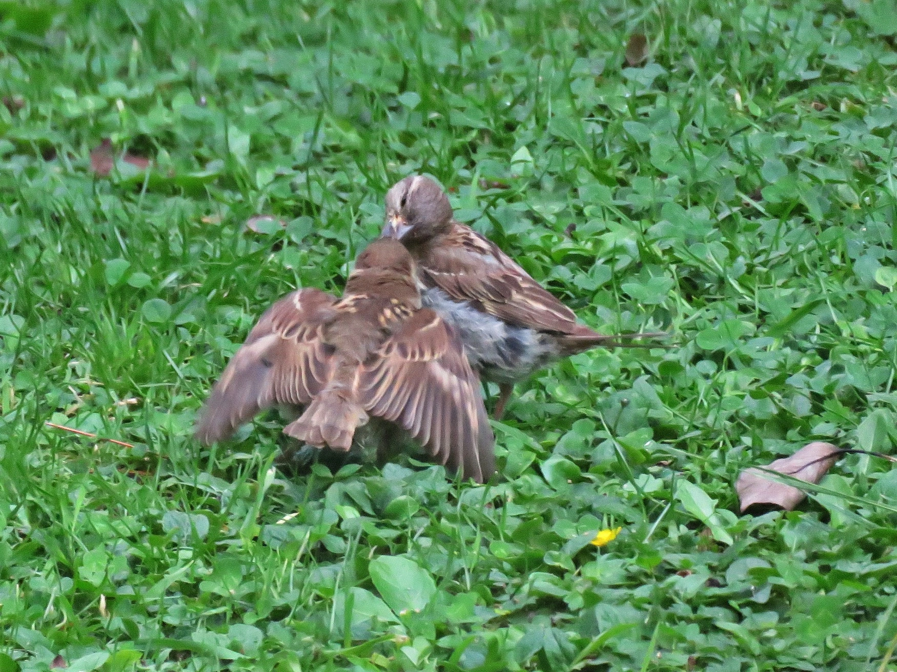 IMG_5467 v (2).webp