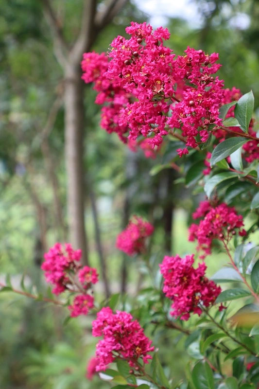 IMG_5518.webp