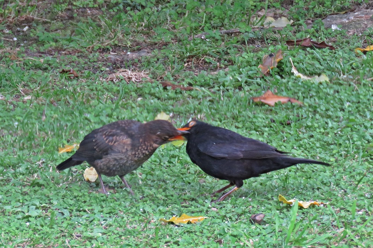 IMG_5559 v (2).webp