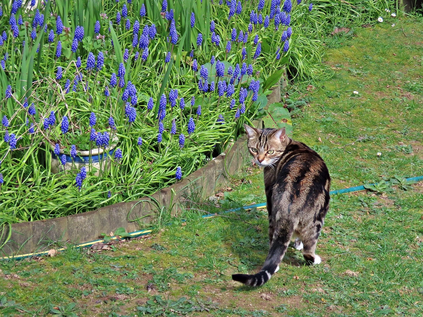 IMG_5758 v (2).webp