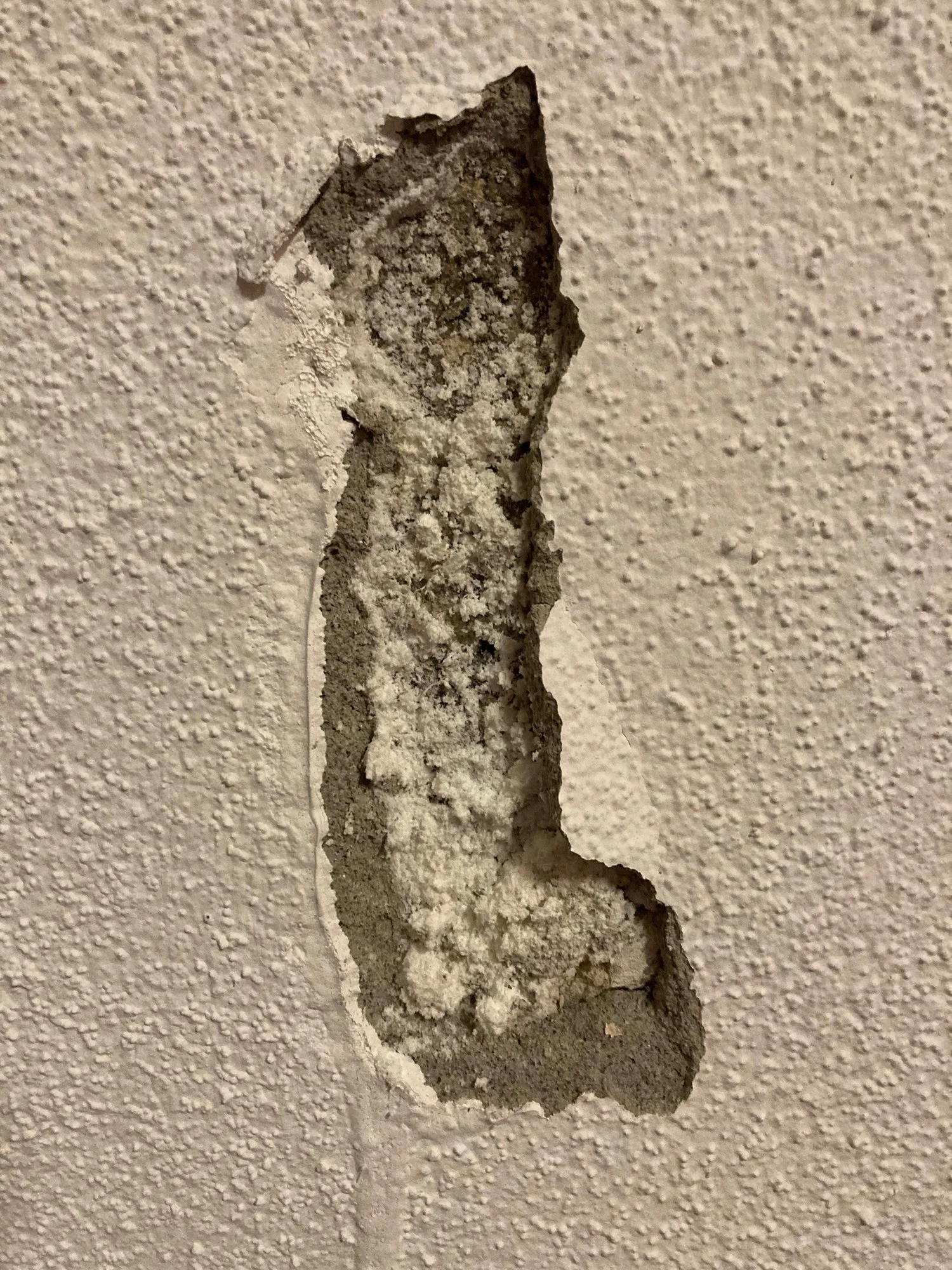 Hilfe Kellerwand belegt (vermutlich Salpeter vielleicht Schimmel). Was tun?
