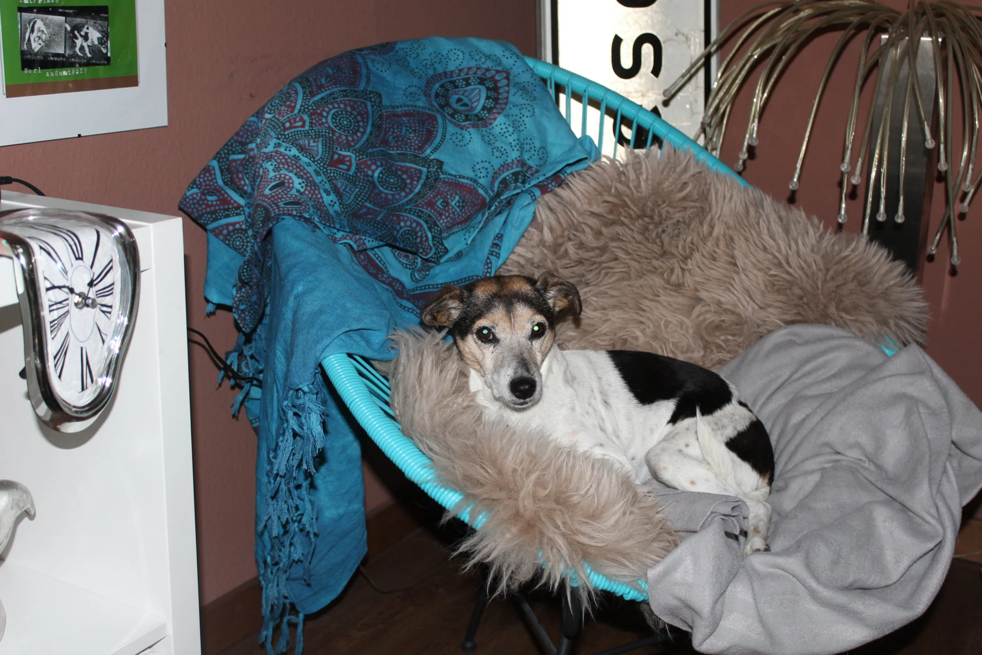 IMG_6026.webp
