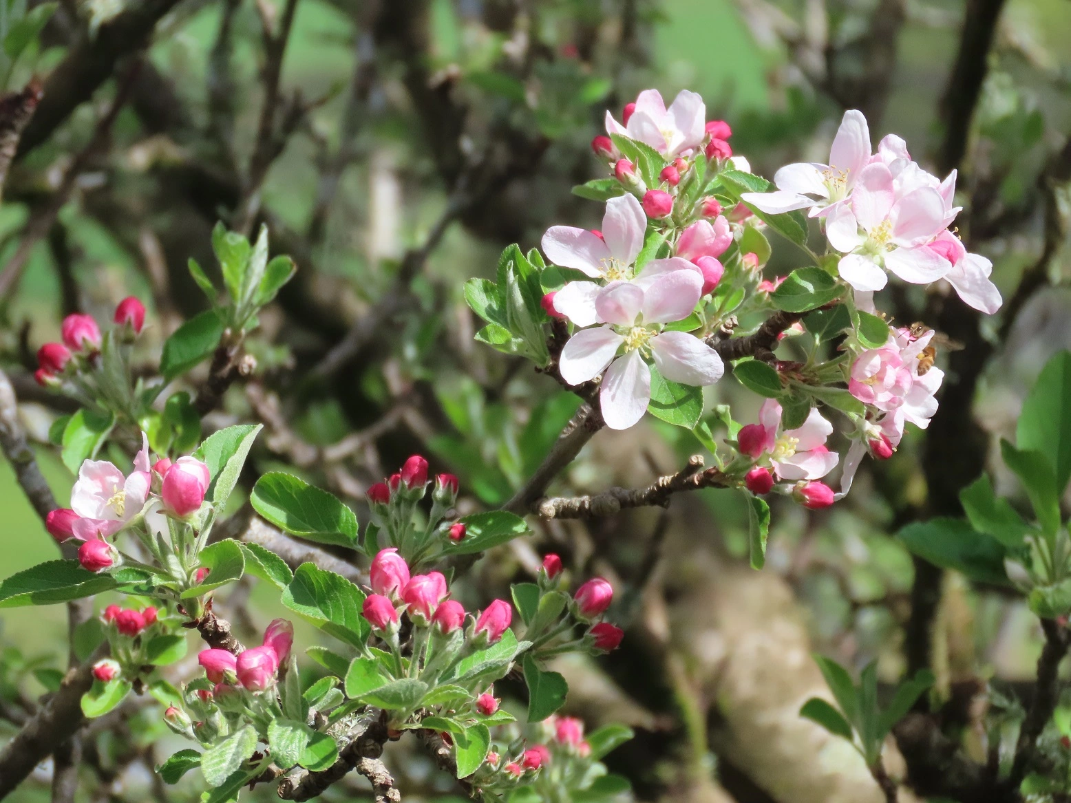 IMG_6162 v (2).webp