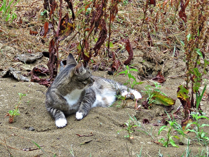 IMG_6196 v (2).webp