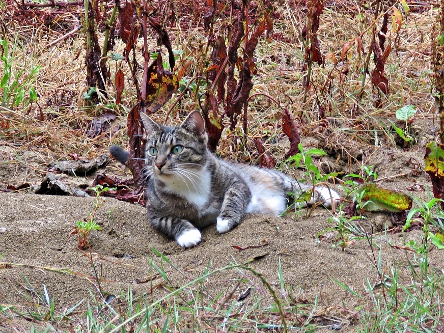 IMG_6198 v (2).webp