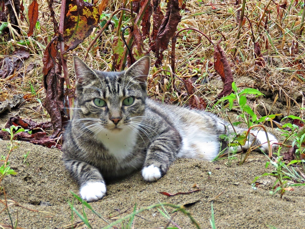 IMG_6200  v XX (2).webp