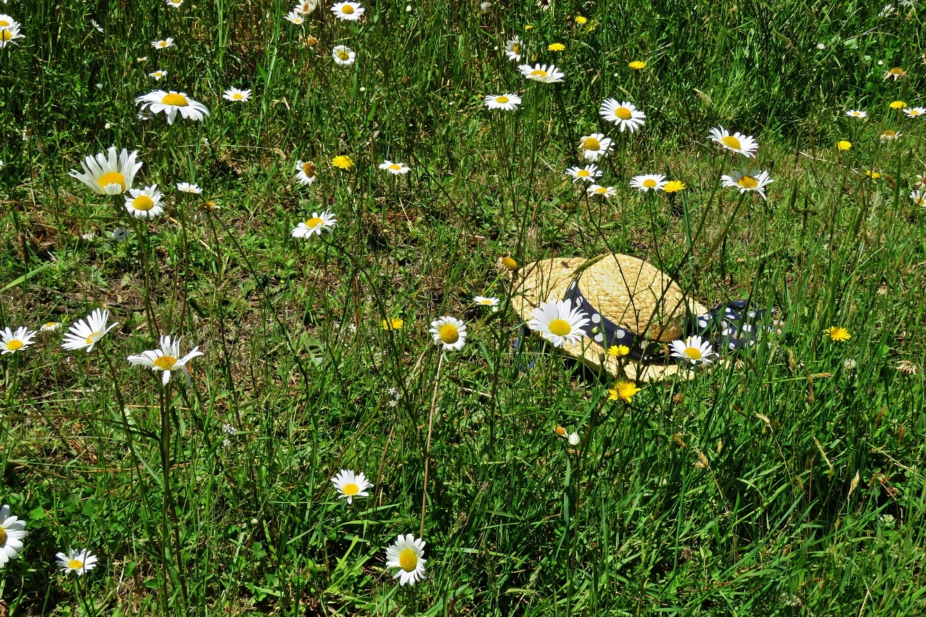 IMG_6200v (2).webp