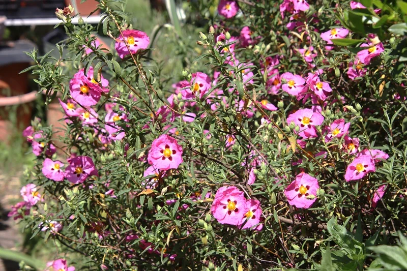 IMG_6299.webp