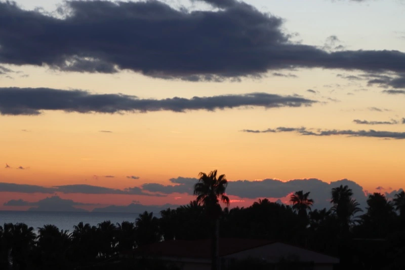 IMG_6682.webp