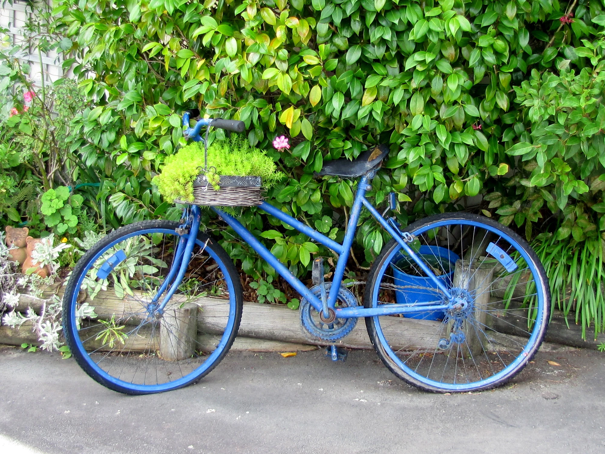 IMG_6863.webp