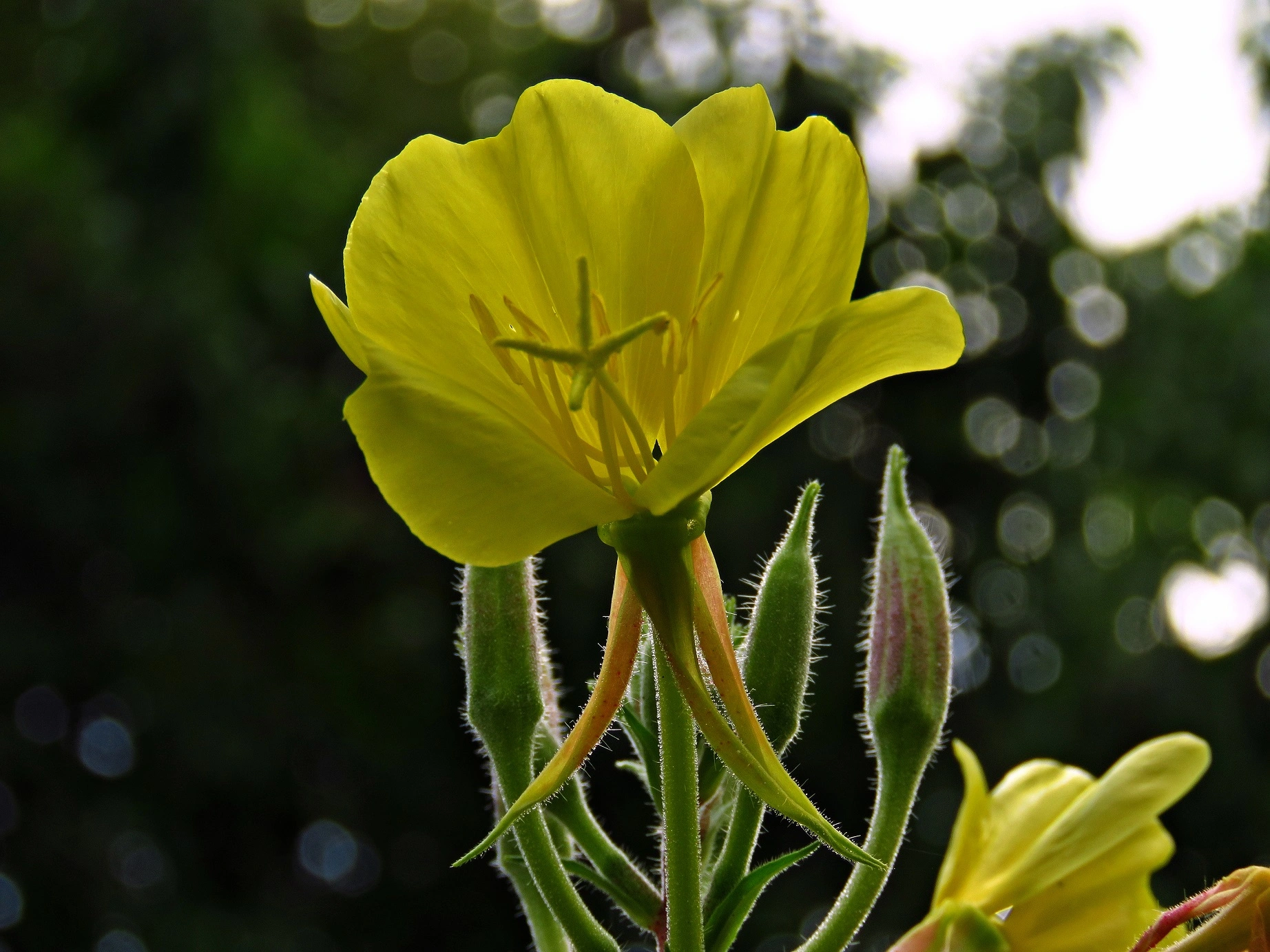 IMG_7099 v (2).webp
