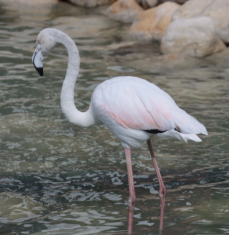 IMG_7809.webp