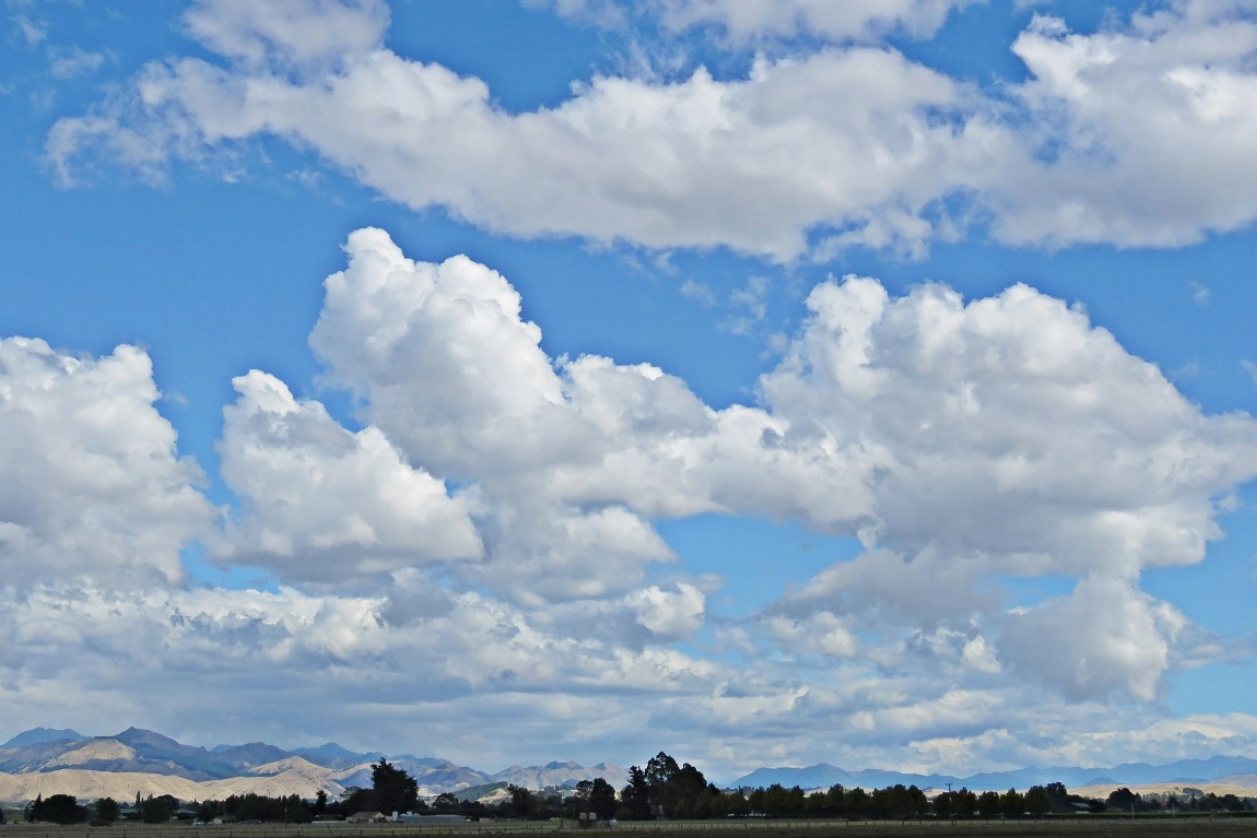 IMG_8010 v (2).webp