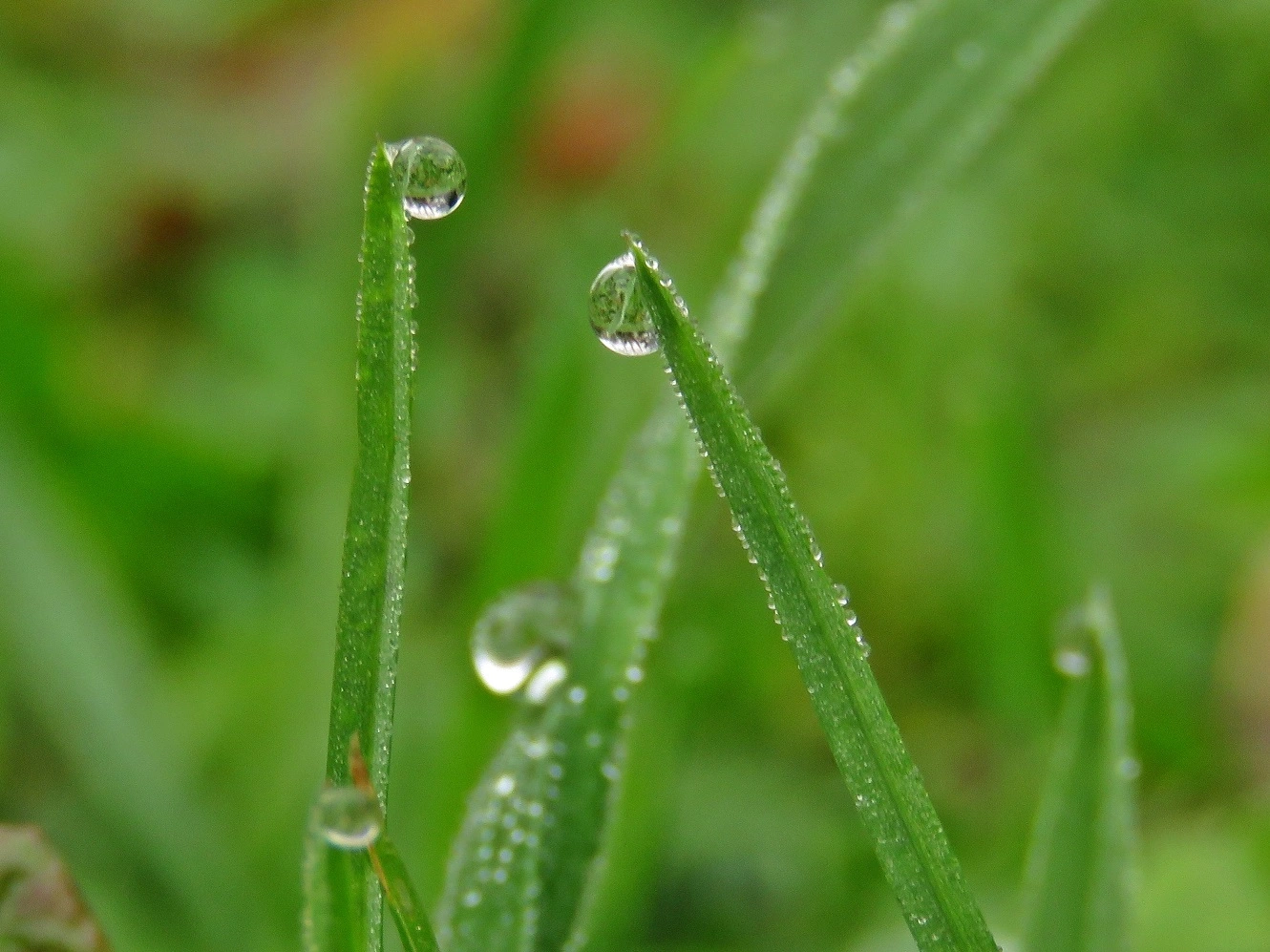 IMG_8149bt (1)v - Copy.webp