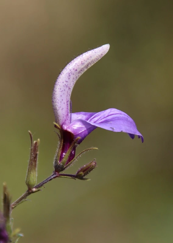 IMG_8351.webp IMG_8351.webp