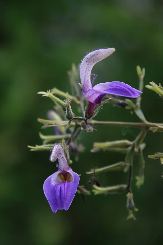 IMG_8576.webp IMG_8576.webp