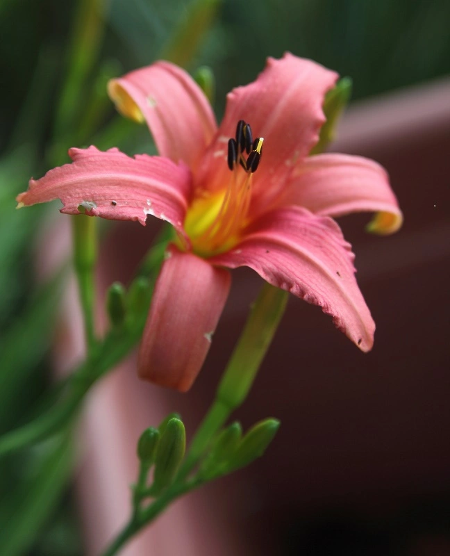 IMG_8598.webp