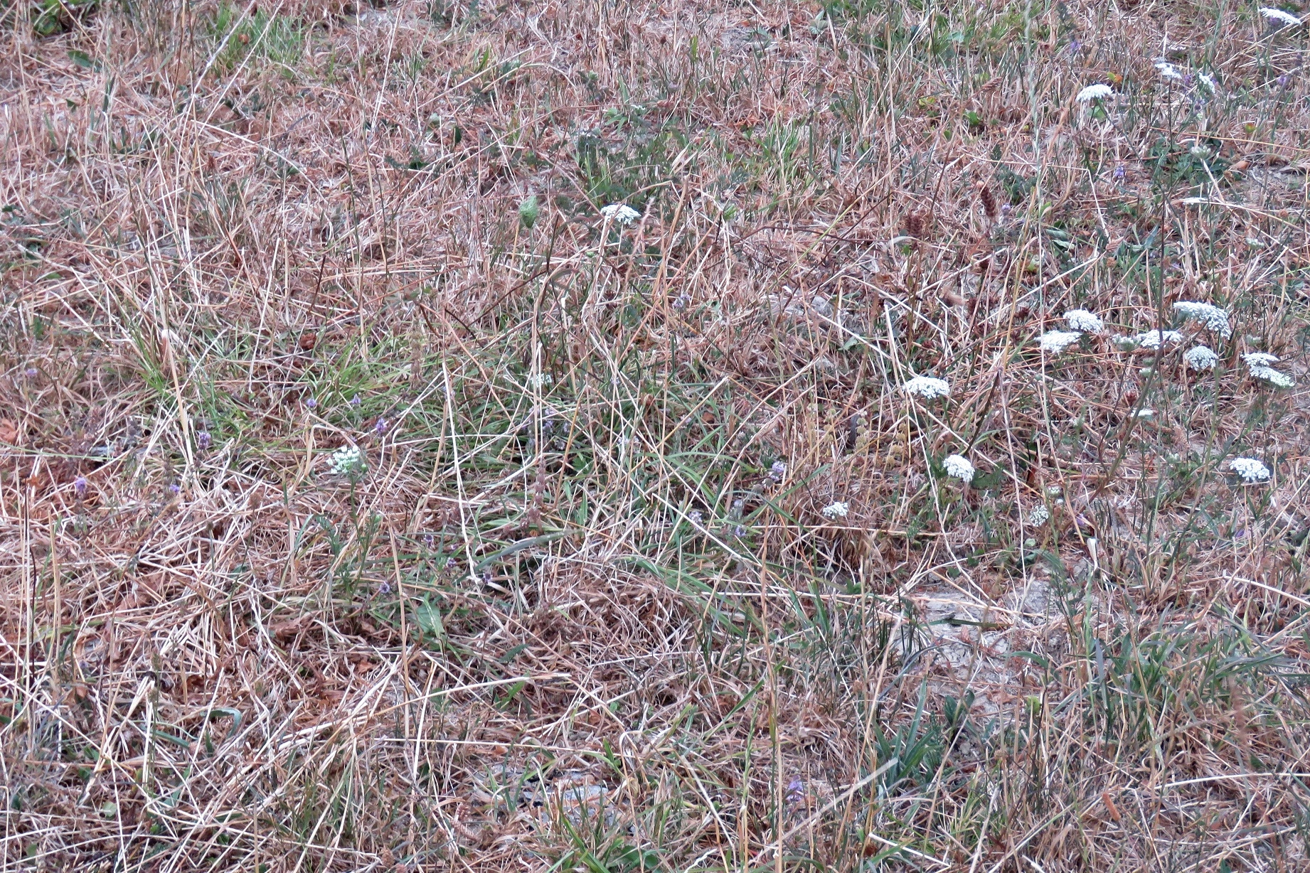 IMG_8760.webp