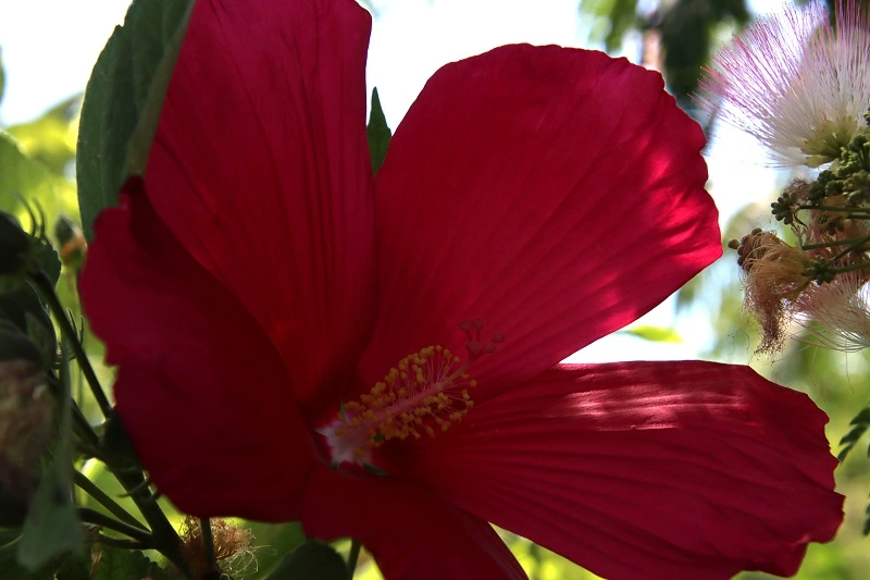 IMG_8813.webp